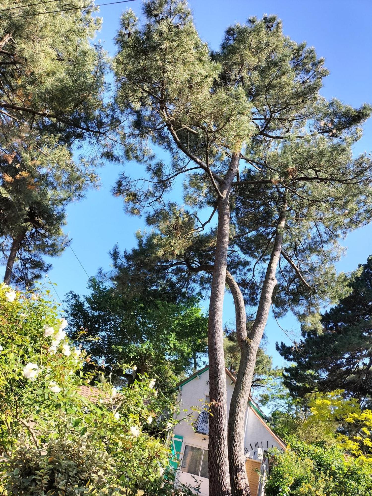 Maison A 50 M De La Sous Les Pins Holiday home Saint-Brevin-les-Pins